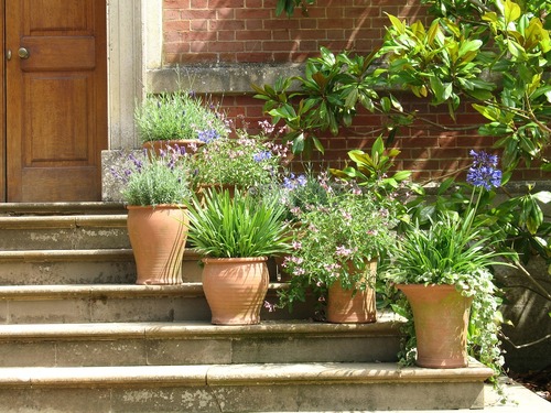 Why Large Terracotta Pots Are Perfect for Creating Focal Points in Gardens